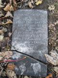image of grave number 351848